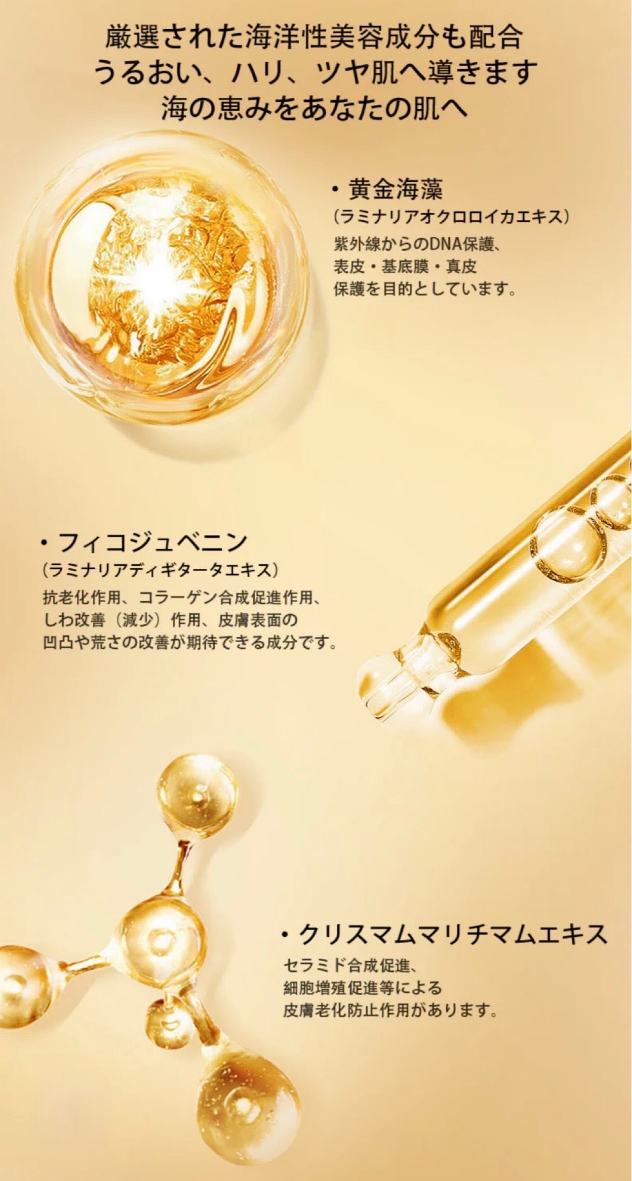 Fill beautè R Oil Serum