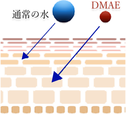 Dr.Soie MOIST LIFT PLUS SERUM 30ml