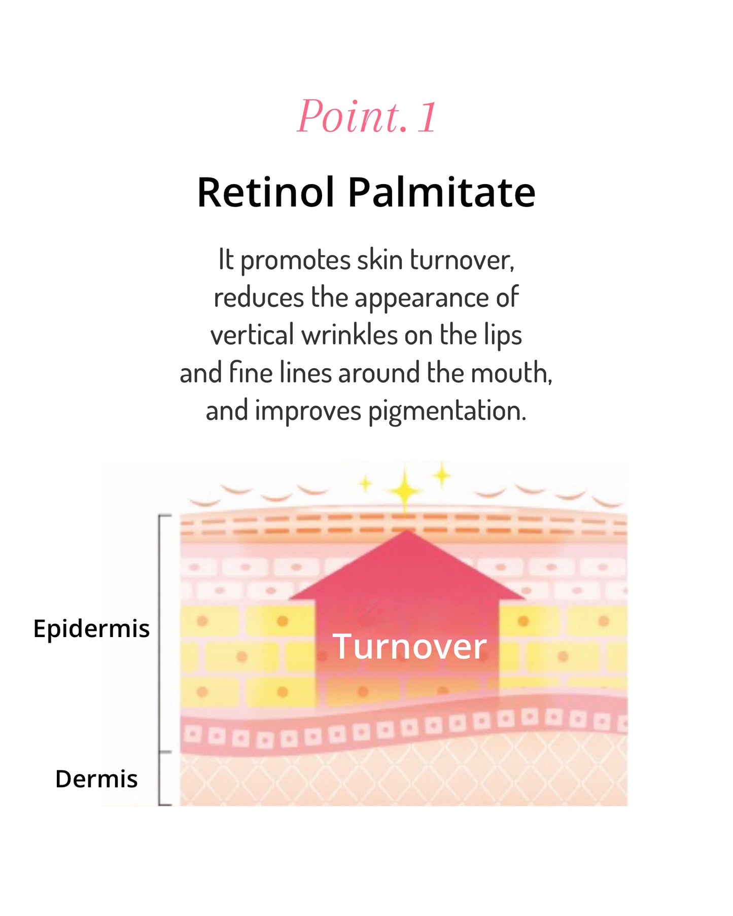 Dr.Soie SMOOTH LINE LIP PLUMPER 6.5g