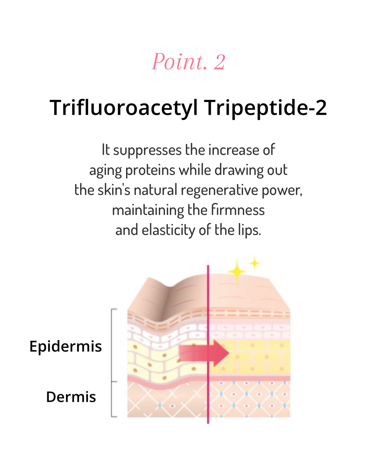 Dr.Soie SMOOTH LINE LIP PLUMPER 6.5g