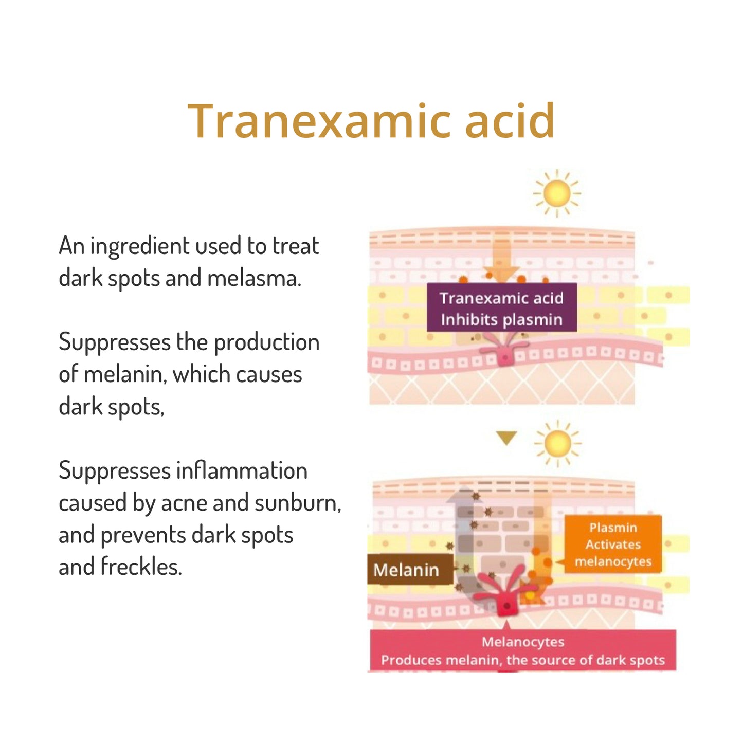 Dr.Soie TAVC WHITE SERUM 30ml